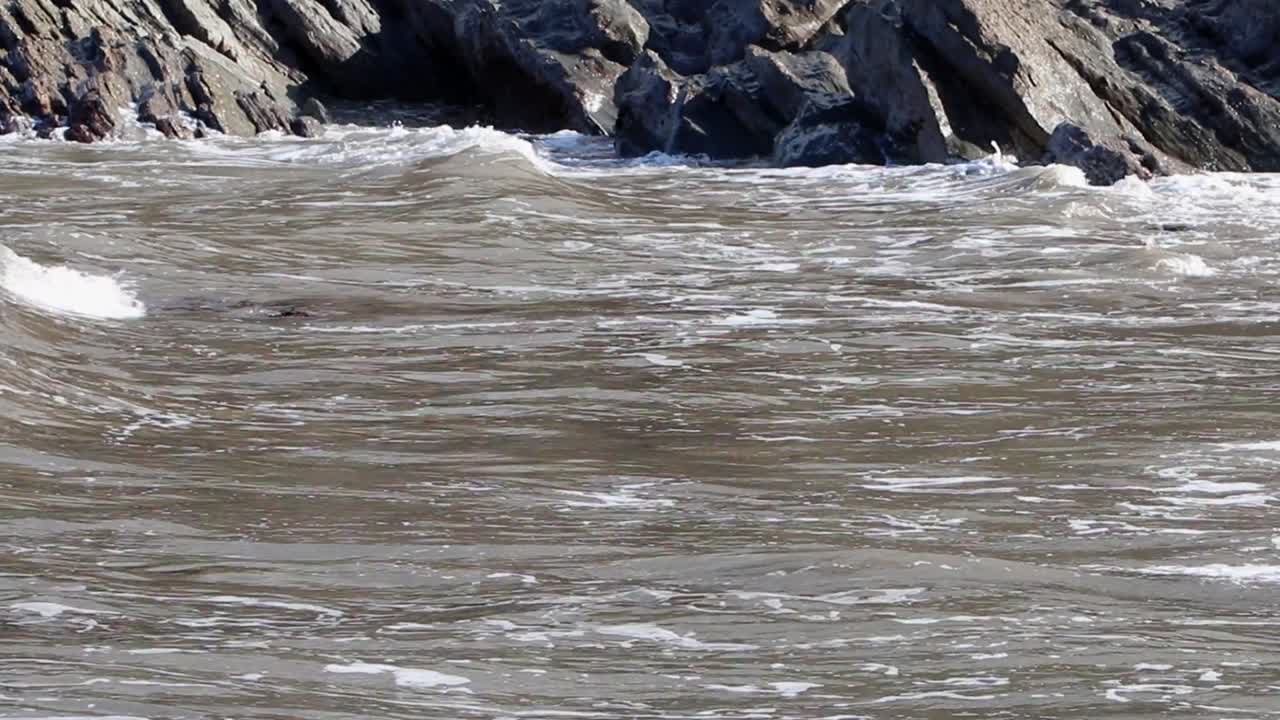 해안으로 밀려오는 파도