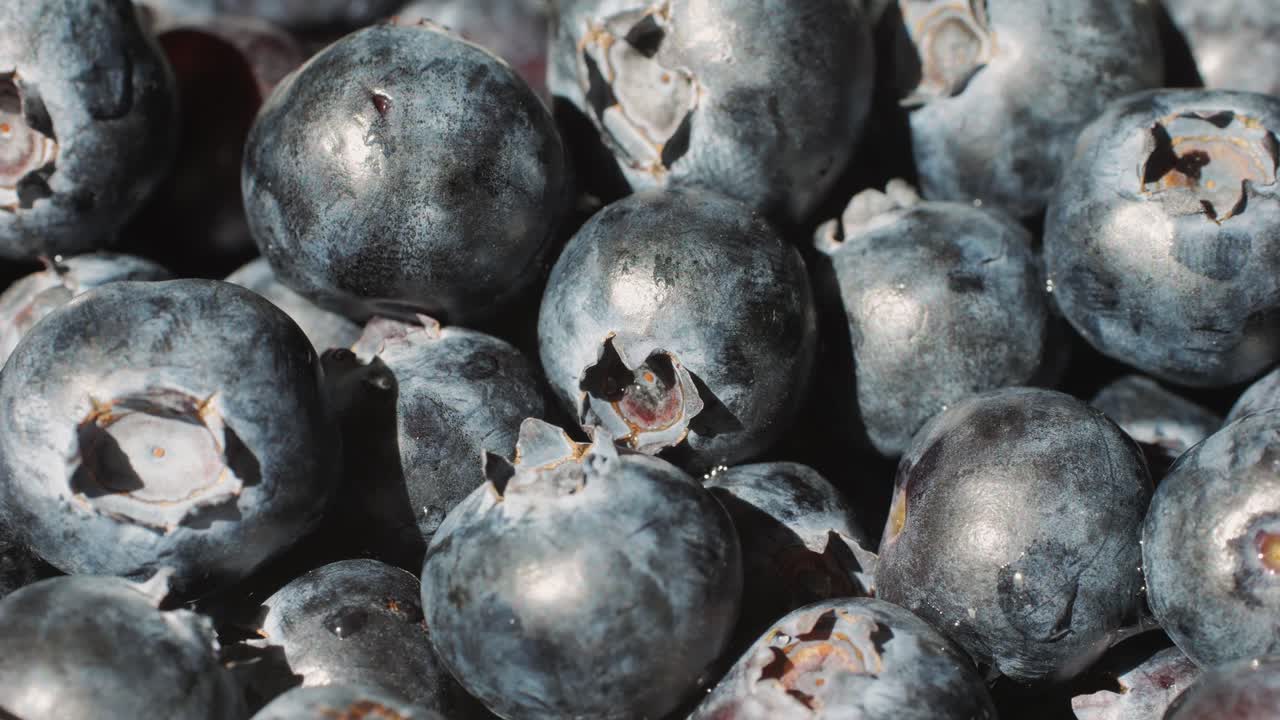 Blueberry berry background, Macro Water drops on ripe blueberries.