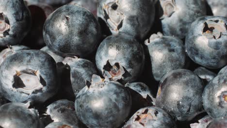blueberry berry background, macro water drops on ripe blueberries.