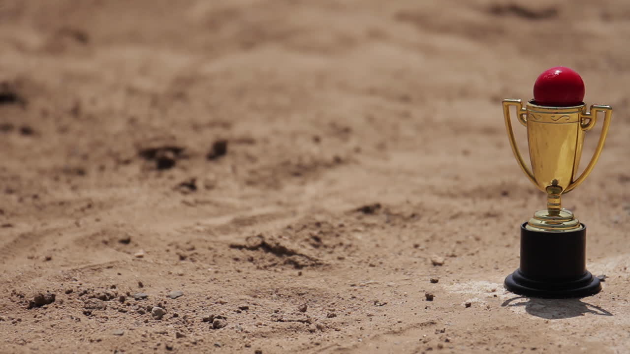 Cricket Trophy on Sand