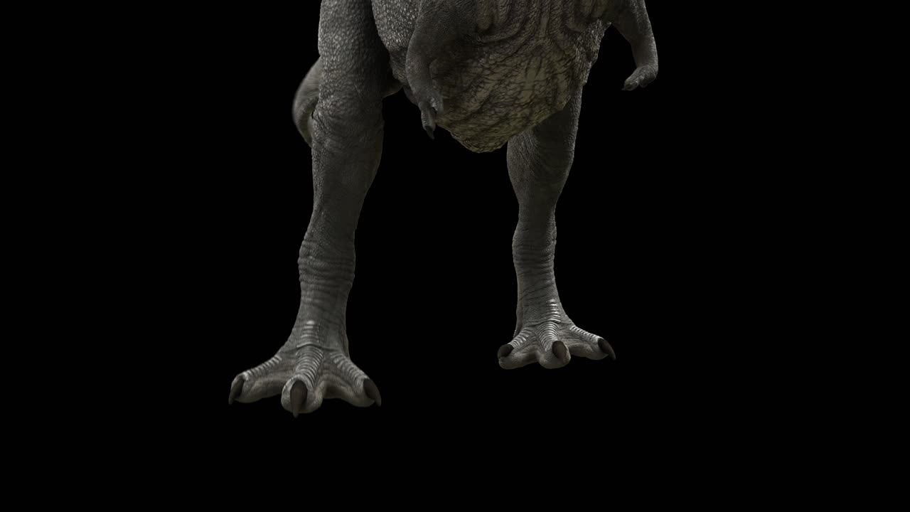dinosaurio trex bucle caminando con el canal alfa