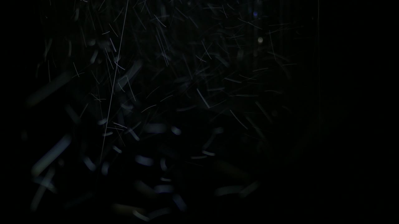 Rain drops that fall chaotically during a torrential rain seen in the light of a light bulb during the night