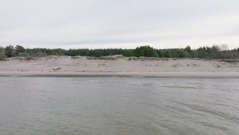 Beautiful-aerial-establishing-view-of-Baltic-sea-coast,-overcast-winter-day,-calm-beach-with-white-sand,-pine-tree-forest,-coastal-erosion,-climate-changes,-wide-ascending-drone-shot-moving-forward