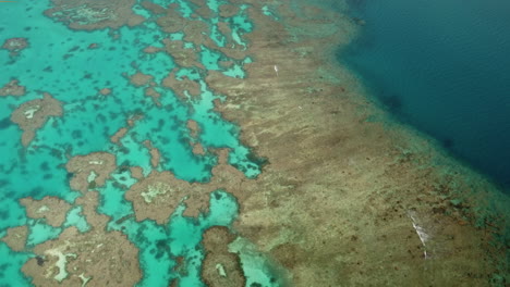 órbita-Aérea-Sobre-Arrecifes-De-Coral-En-Aguas-Cristalinas-De-Isla-De-Pinos,-Nueva-Caledonia