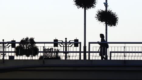 A-person-walking-on-the-bridge-in-the-evening