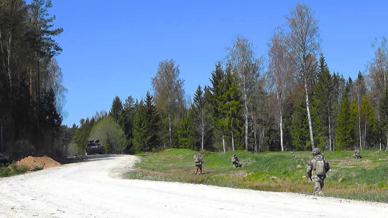 Spectacular shot of British armed and camouflaged soldiers patrolling a forest countryside road side during a sunny day in a large pine forest and green grassy field during battle. A tank visible too.