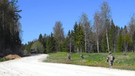 spectacular shot of british armed and camouflaged soldiers patrolling a forest countryside road side during a sunny day in a large pine forest and green grassy field during battle. a tank visible too.