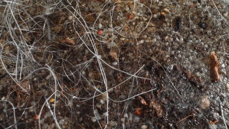 river floor with clear freshwater covered with pebbles