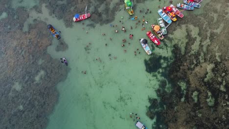 Boat-Tour-Group-Exploring-Beautiful,-Colorful-Brazilian-Reefs-out-in-Atlantic-Ocean