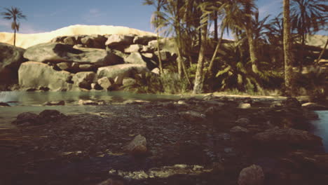 lush tropical landscape with water and rock formations in bright sunlight