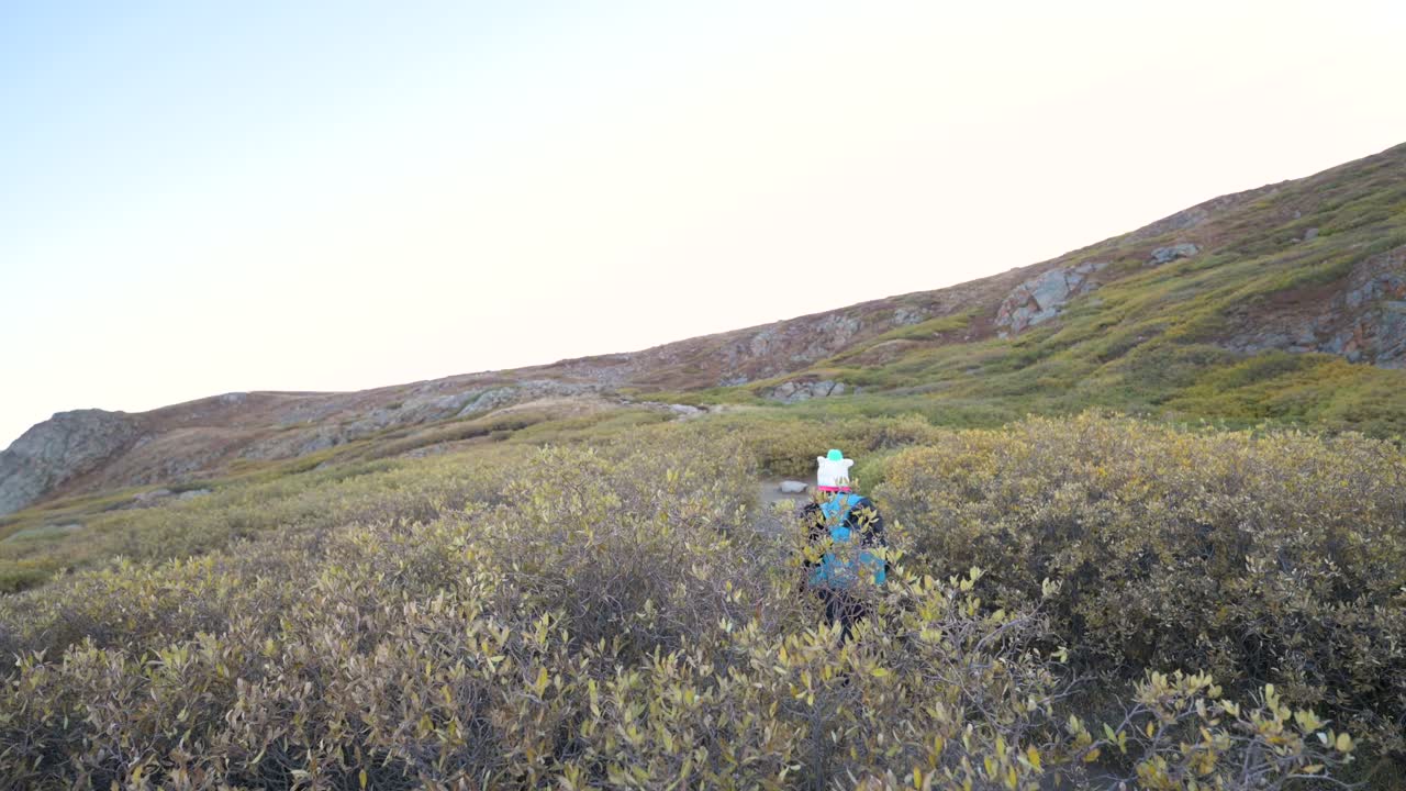 높은 덤불 을 가로질러 구름 이 가득 한 날 에 산 을 등반 하는 여자 산책자