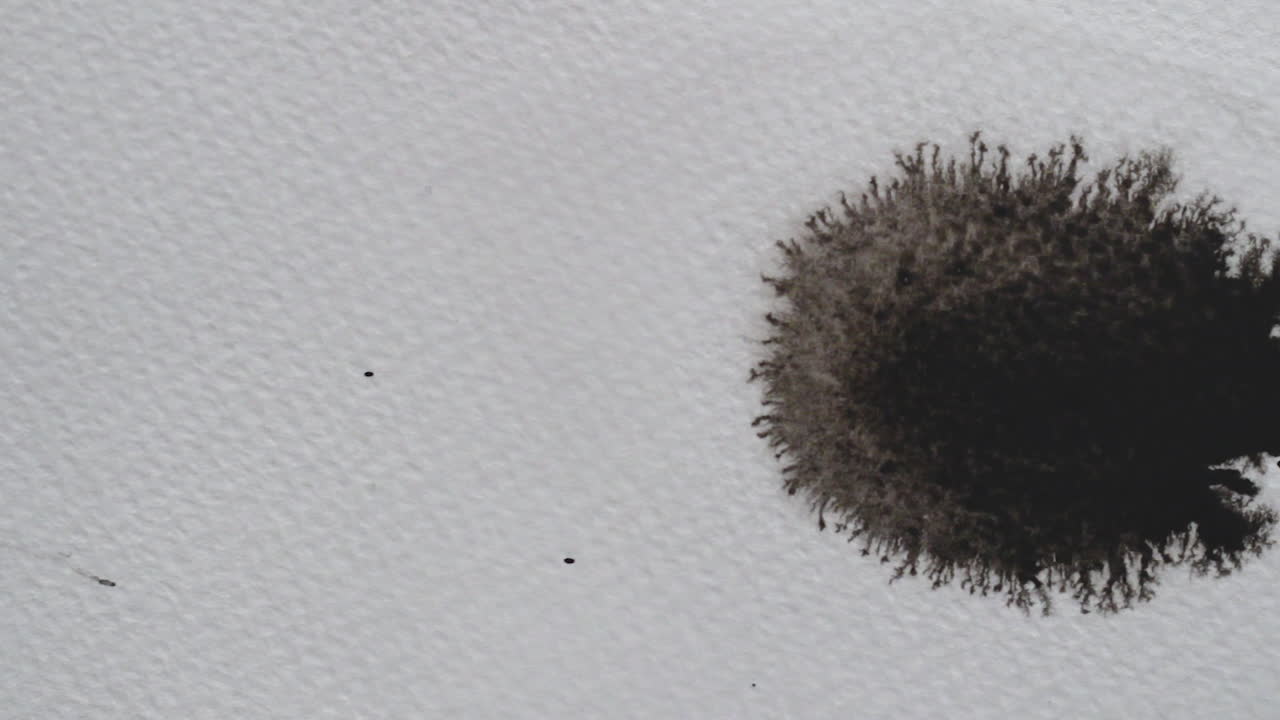 Ripresa dall'alto, macro e primo piano di due enormi macchie di inchiostro nero che cadono e si diffondono su carta creativa bianca testurizzata