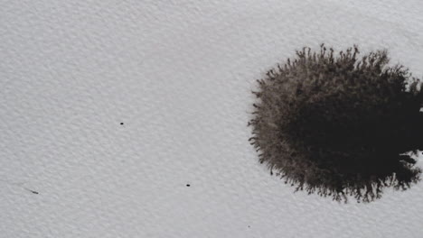 toma superior, toma macro y primer plano de dos enormes puntos con forma de tinta negra que caen y se filtran en papel creativo blanco texturizado