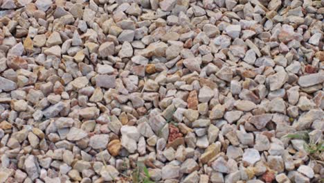 close-up of light-colored gravel