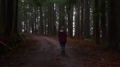 mujer caminando a través del bosque oscuro a lo largo de un camino de piedras volcánicas rojas en las azores