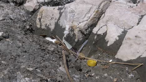 plastic pollution along the coast of postria, croatia.