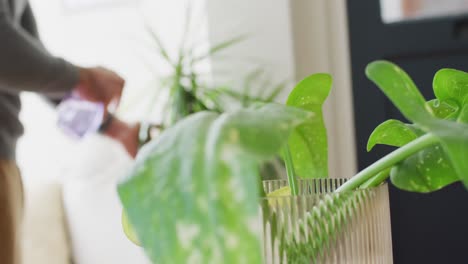 video of midsection of caucasian man watering houseplant at home, misting with spray, copy space