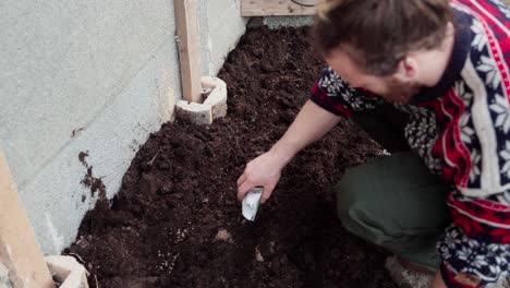 gardener pouring seeds into cultivated garden plot