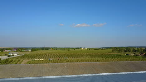 aerial view of beautiful garden. aerial view of orchard high altitude with apple trees lined up perfectly