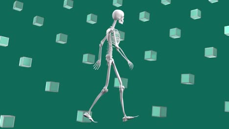 Animation-of-human-skeleton-and-3d-shapes-over-blue-background