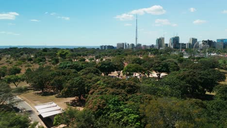 city park sarah kubitschek in brasília, the capital of brazil. in the middle of the city