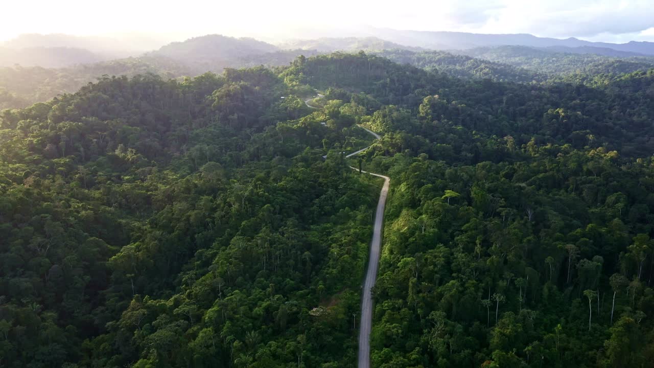 un camino de tierra que conduce al bosque amazónico