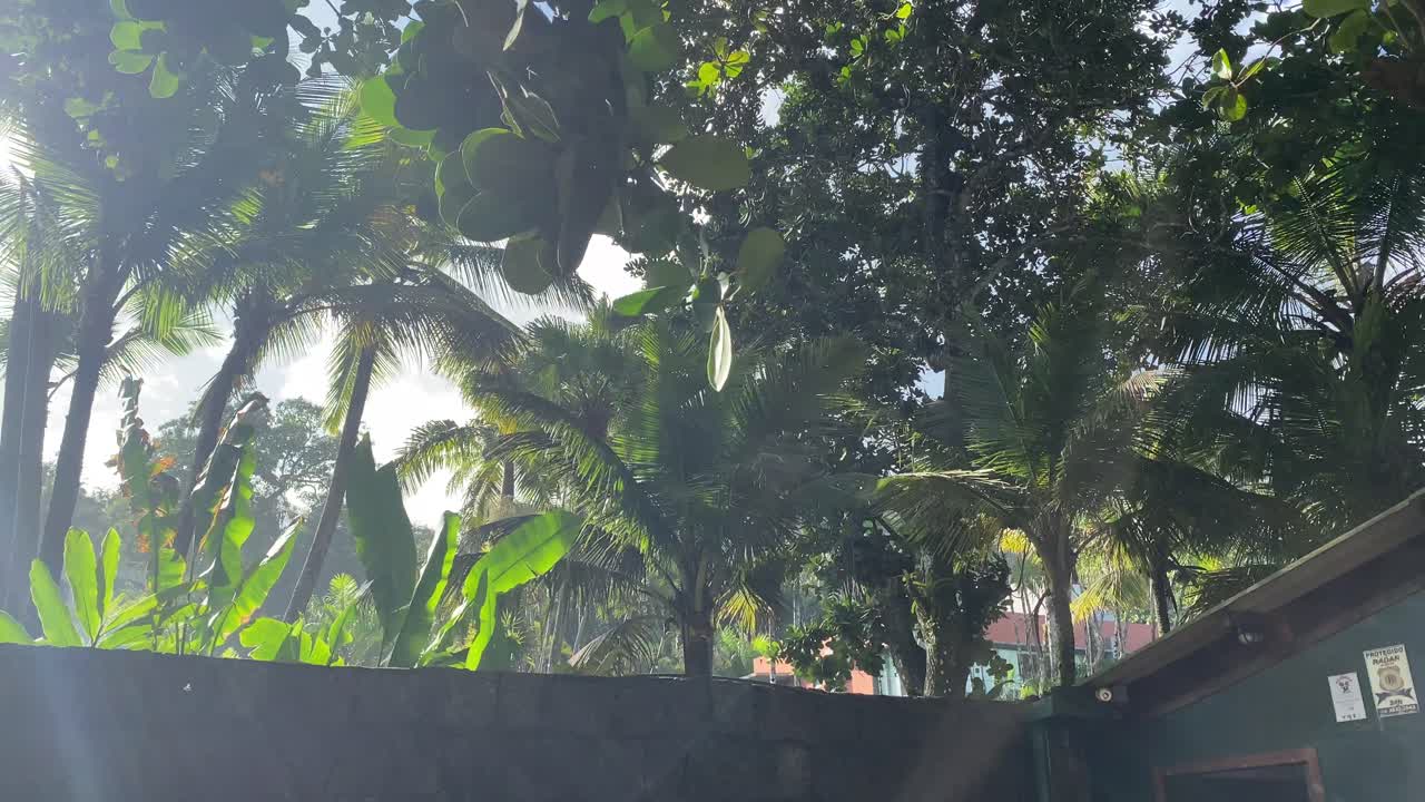 Bar or cafe in tropical scene with sun shining through forest
