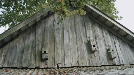 Three-old-empty-abandoned-bird-houses-no-where-to-live