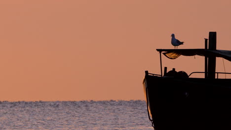 seagull perched on a rustic boat at sunrise, silhouetted against soft orange sky and calm sea