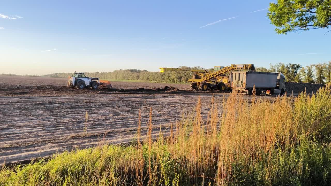 Barbabietole da zucchero caricate su un camion in un campo nella Repubblica Ceca durante il tramonto. La calda luce dorata risplende sui macchinari agricoli, sul terreno e sulla tranquilla campagna.