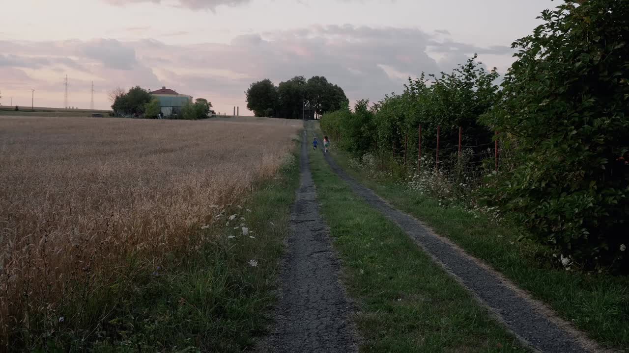 дети, бегущие вдалеке вечером по проселочной дороге рядом с зерном