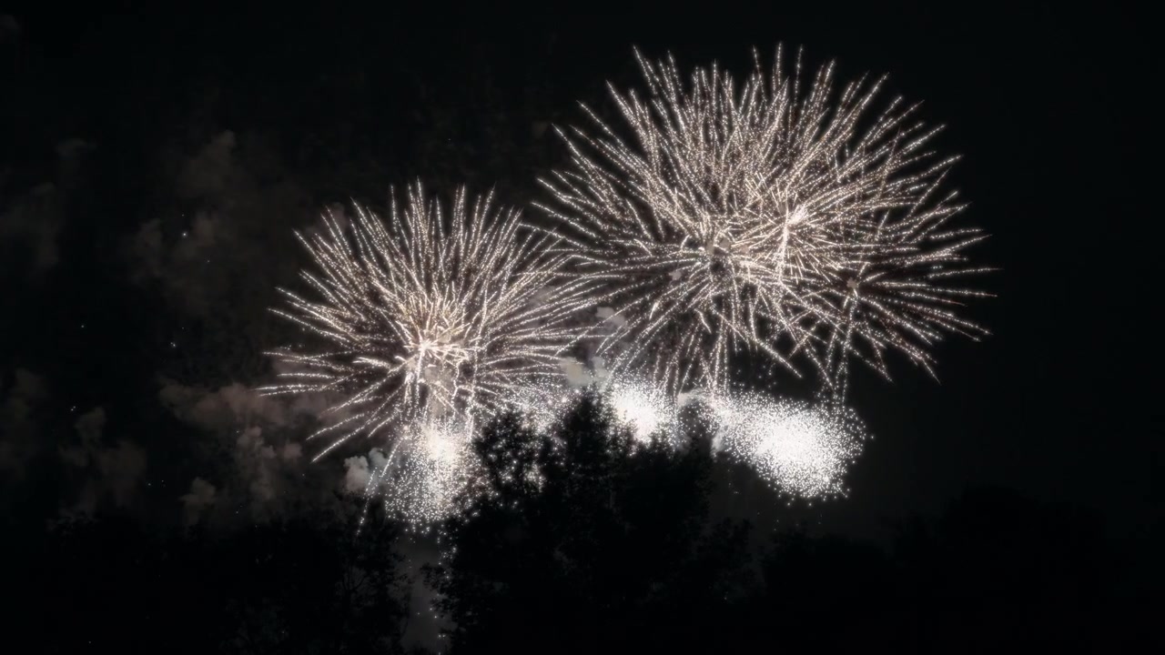 Fuochi d'artificio festivi dietro gli alberi