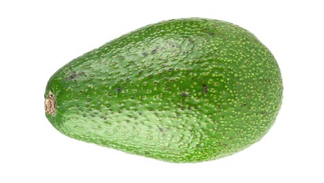 todo el aguacate girando en primer plano sobre un fondo blanco. animación vertical de bucle sin costuras con espacio de copia