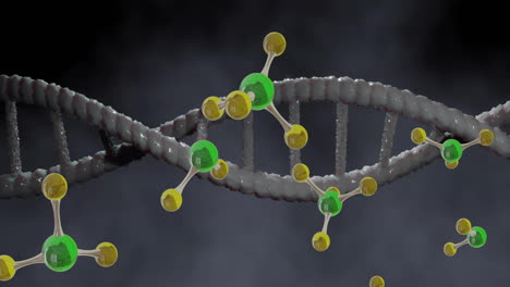 animación de moléculas flotantes sobre la cadena de adn