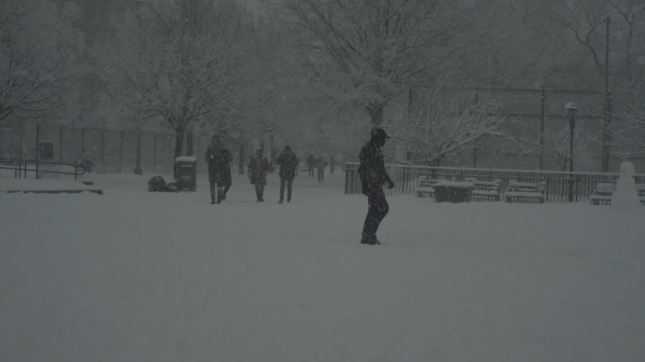 Maria Hernandez Park Bushwick Brooklyn Snow winter 2021. Vintage lens