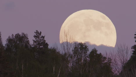 Primer-Plano-De-La-Luna-Llena---La-Luna-Llena-Se-Eleva-Sobre-Un-Bosque,-Suecia