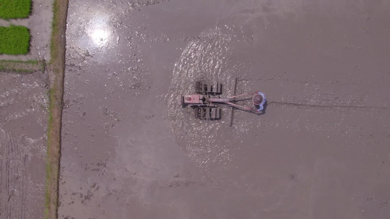 abajo de la parte superior del hombre local arando el arrozal en java indonesia durante el día, aero