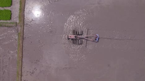 Top-down-of-local-man-plowing-the-rice-paddy-at-Java-Indonesia-during-day-time,-aerial