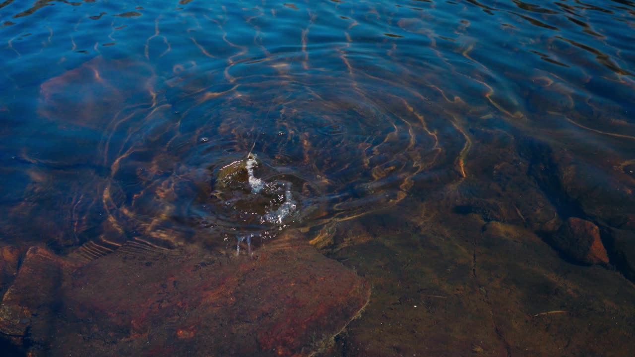Catching Fish On A Rod With A Hook Over Freshwater Lake