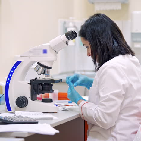 side view of a woman researcher in the laboratory. female assistant preparing samples to do expertise through the microscope.