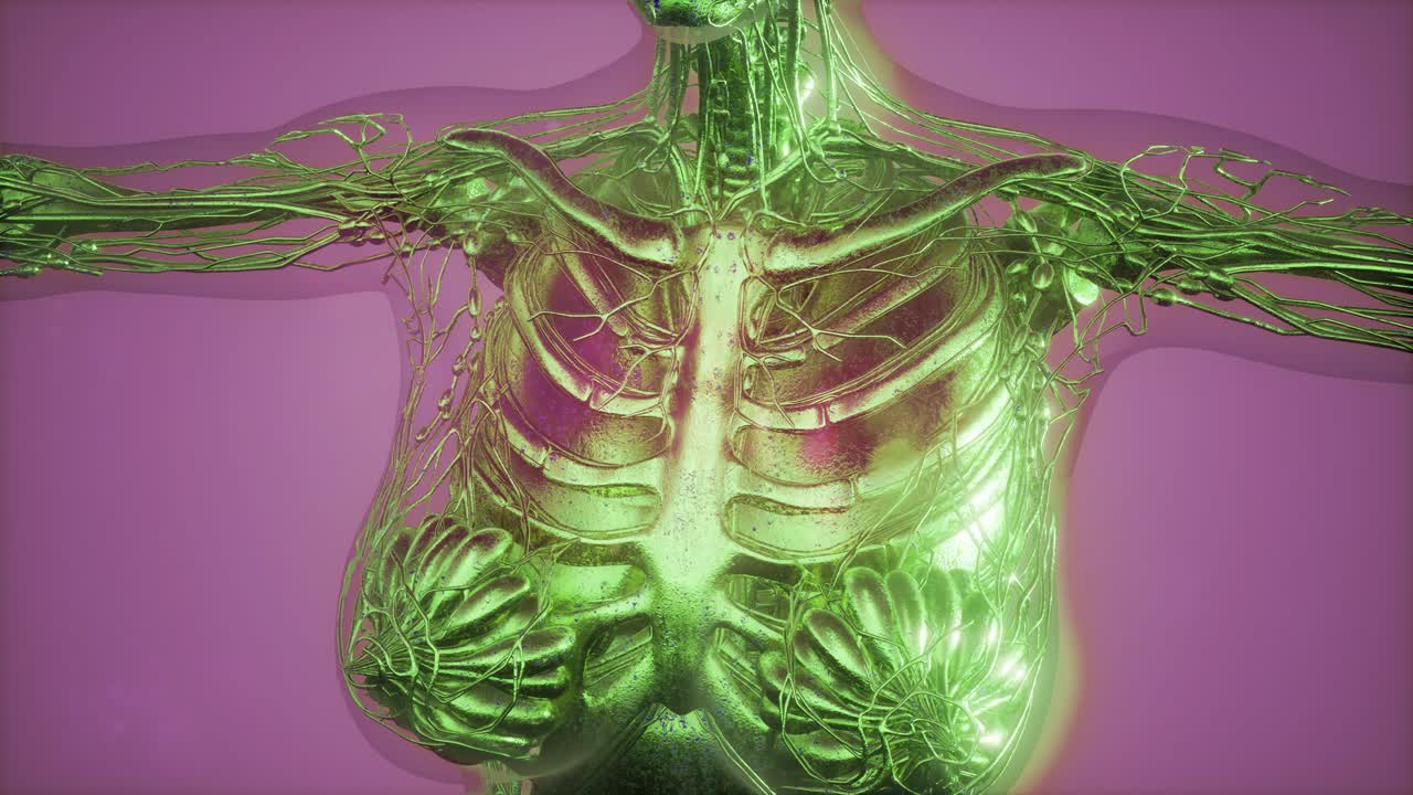 radiografía de mamografía para el diagnóstico del cáncer de mama