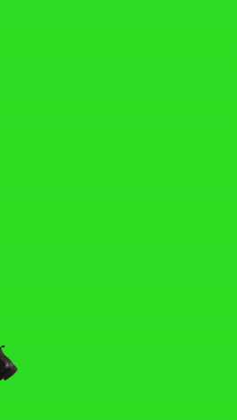 woman walking in studio on green screen