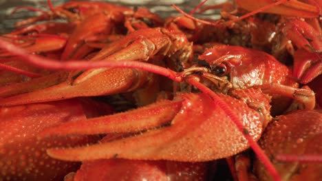 Boiled-crayfish-close-up