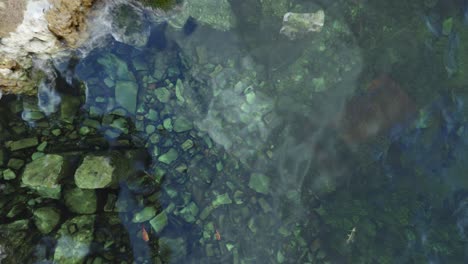 clear pond with rocks and koi fish