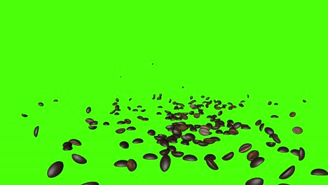 coffee beans falling 3d animation , green screen chroma key