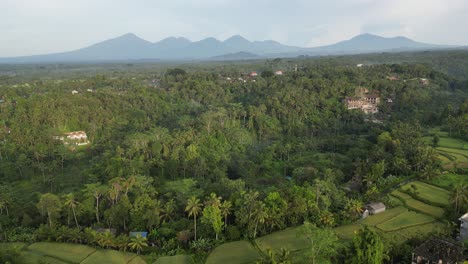 La-Luz-De-La-Madrugada-Golpea-Los-Cocoteros-Y-Las-Montañas-Cerca-De-Ubud-En-Bali,-Indonesia