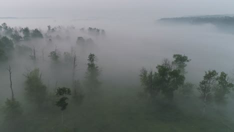 Aerial-view-flying-through-fog-and-smoke-over-a-rural-Alberta-treed-farm