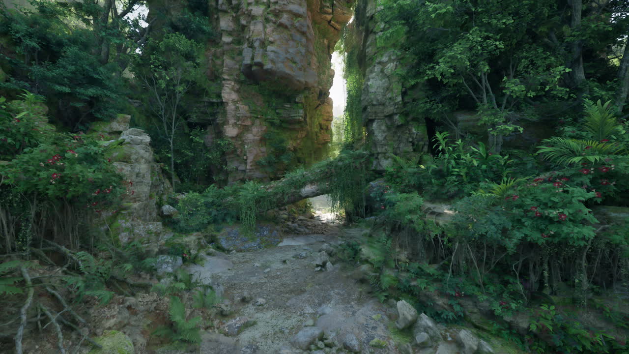 un camino a través de una selva exuberante