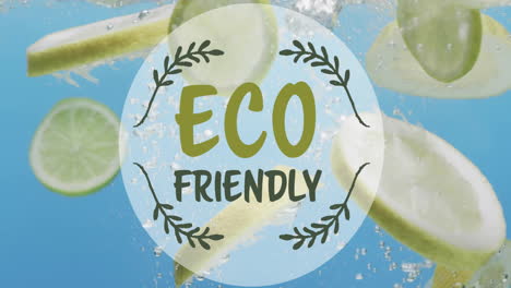 Animation-of-eco-friendly-text-over-fruit-falling-in-water-background