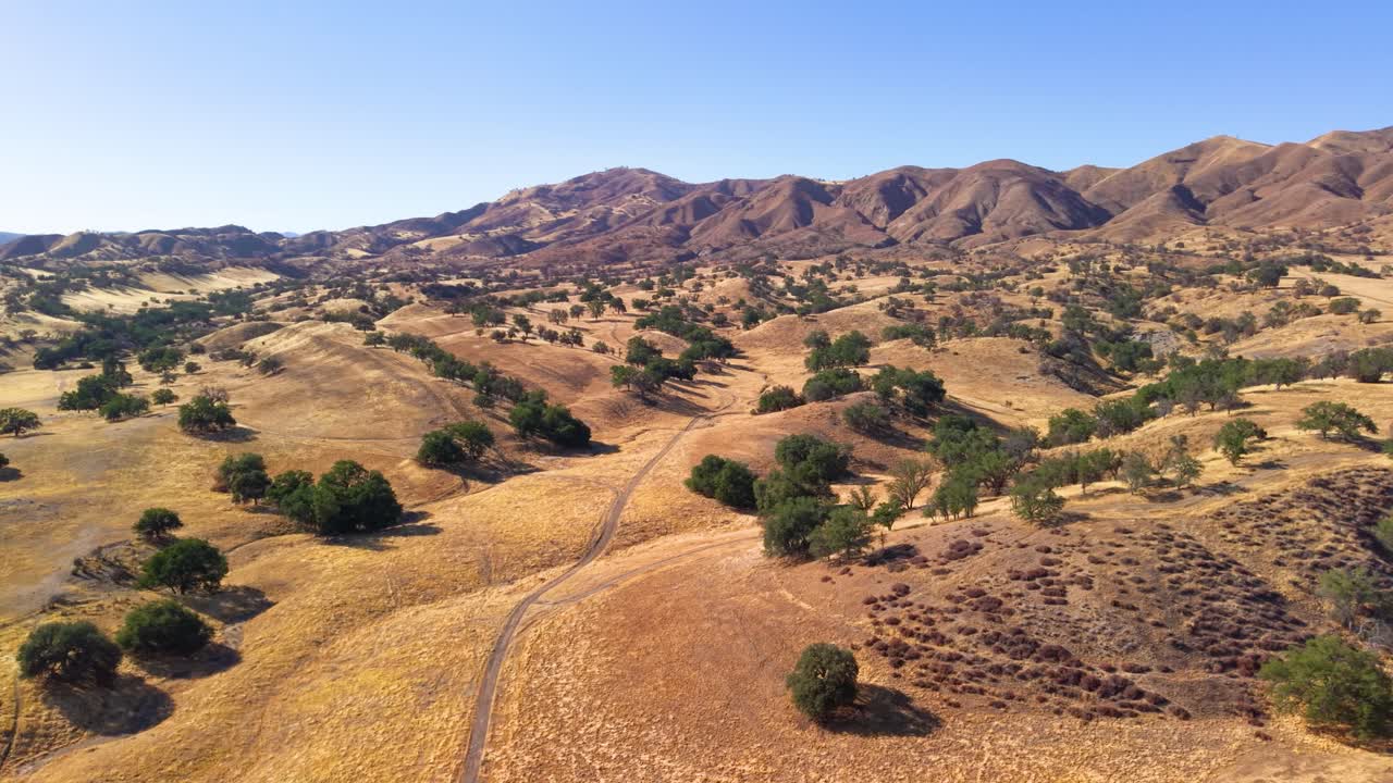 A majestic, panoramic drone shot of the California oak savanna. The camera soars over rolling golden hills dotted with green trees and a winding dirt road